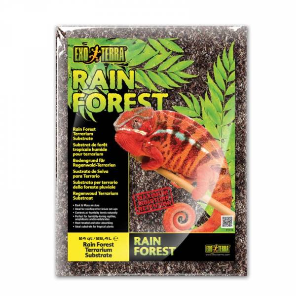 Preview: Exo Terra Rain Forest